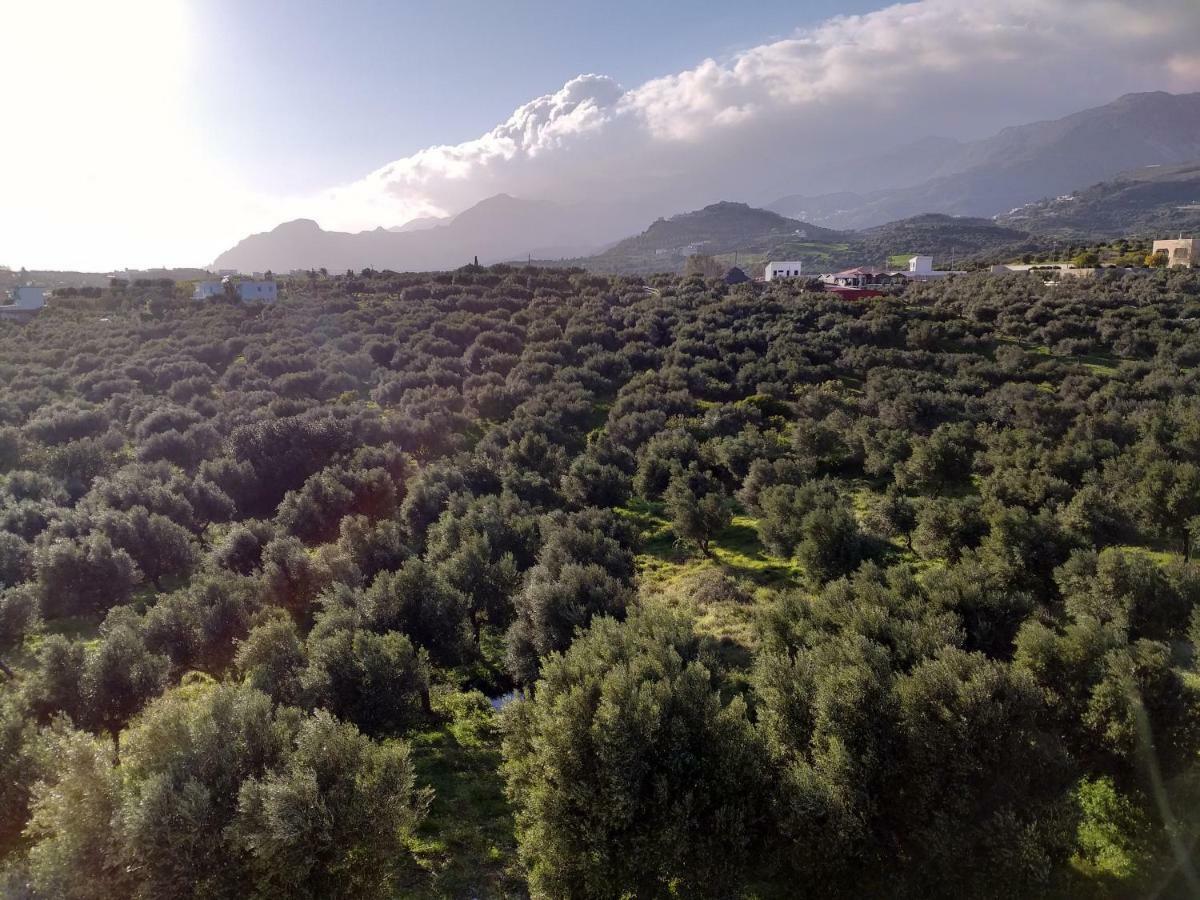 Greek Blue Apartment Плакиас Экстерьер фото